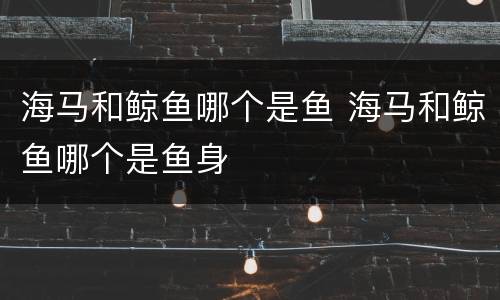 海马和鲸鱼哪个是鱼 海马和鲸鱼哪个是鱼身