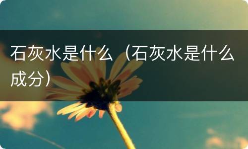石灰水是什么（石灰水是什么成分）
