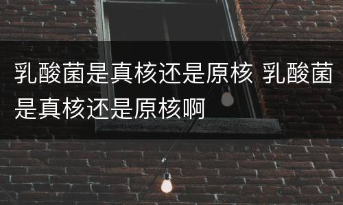 乳酸菌是真核还是原核 乳酸菌是真核还是原核啊