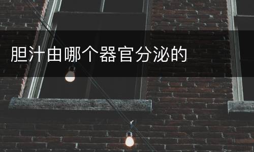 胆汁由哪个器官分泌的
