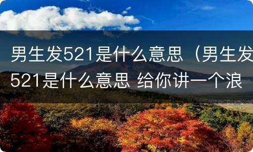 男生发521是什么意思（男生发521是什么意思 给你讲一个浪漫的故事）