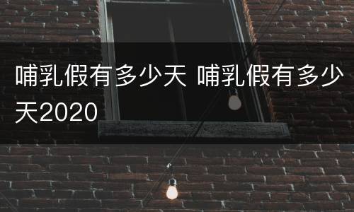 哺乳假有多少天 哺乳假有多少天2020