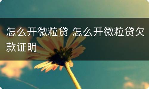 怎么开微粒贷 怎么开微粒贷欠款证明