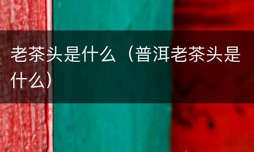老茶头是什么（普洱老茶头是什么）