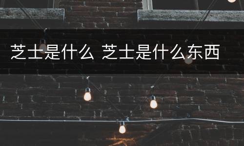 芝士是什么 芝士是什么东西