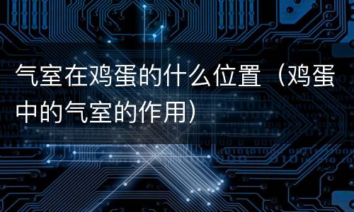 气室在鸡蛋的什么位置（鸡蛋中的气室的作用）