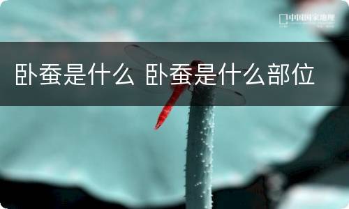 卧蚕是什么 卧蚕是什么部位