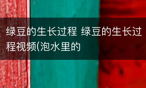 绿豆的生长过程 绿豆的生长过程视频(泡水里的