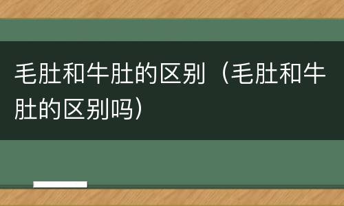 毛肚和牛肚的区别（毛肚和牛肚的区别吗）