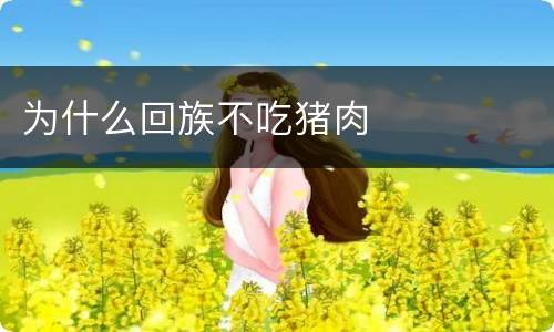 为什么回族不吃猪肉