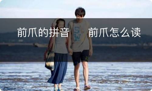 ​前爪的拼音  ​前爪怎么读