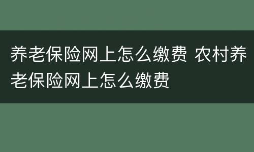 养老保险网上怎么缴费 农村养老保险网上怎么缴费