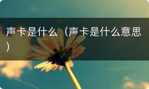 声卡是什么（声卡是什么意思）