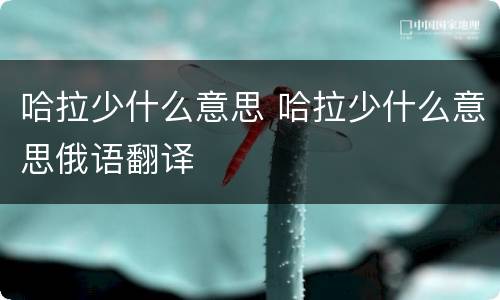 哈拉少什么意思 哈拉少什么意思俄语翻译