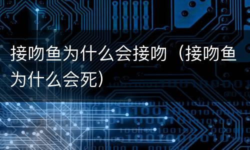 接吻鱼为什么会接吻（接吻鱼为什么会死）