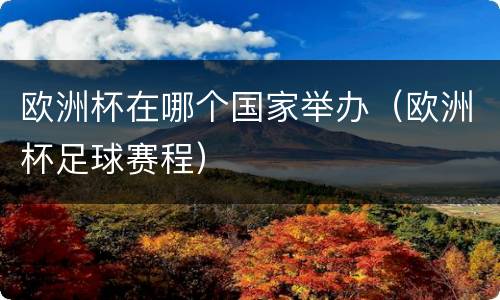 欧洲杯在哪个国家举办（欧洲杯足球赛程）