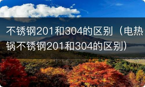 不锈钢201和304的区别（电热锅不锈钢201和304的区别）