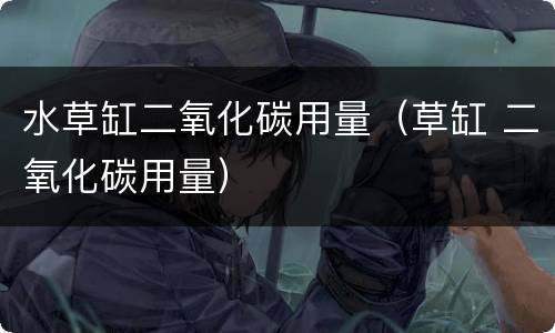 水草缸二氧化碳用量（草缸 二氧化碳用量）