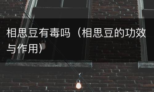 相思豆有毒吗（相思豆的功效与作用）