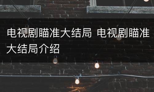 电视剧瞄准大结局 电视剧瞄准大结局介绍