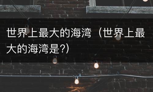 世界上最大的海湾（世界上最大的海湾是?）