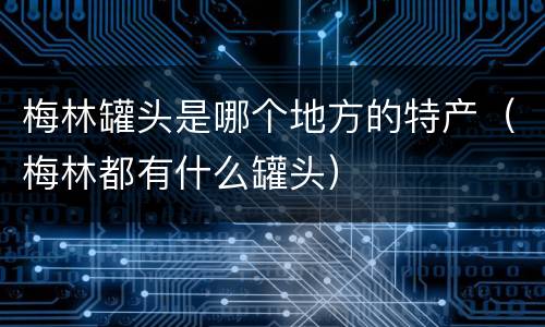 梅林罐头是哪个地方的特产（梅林都有什么罐头）
