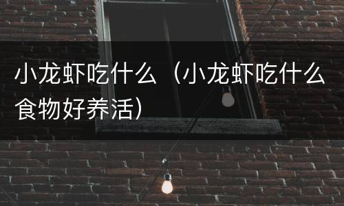 小龙虾吃什么（小龙虾吃什么食物好养活）