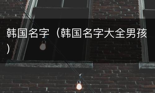 韩国名字（韩国名字大全男孩）