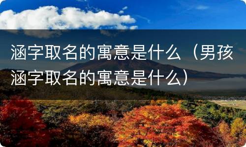 涵字取名的寓意是什么（男孩涵字取名的寓意是什么）