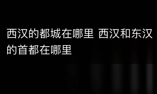 西汉的都城在哪里 西汉和东汉的首都在哪里
