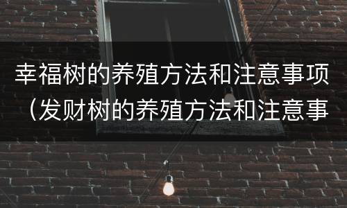 幸福树的养殖方法和注意事项（发财树的养殖方法和注意事项）