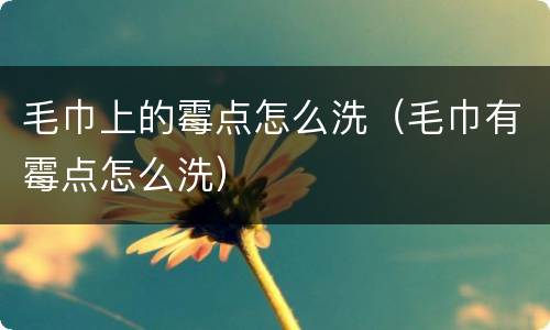 毛巾上的霉点怎么洗（毛巾有霉点怎么洗）