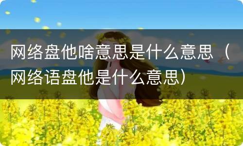 网络盘他啥意思是什么意思（网络语盘他是什么意思）
