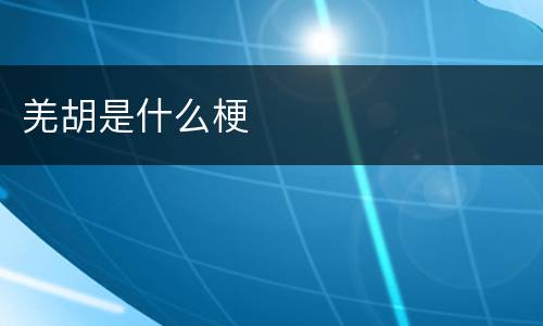 羌胡是什么梗