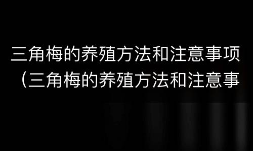 三角梅的养殖方法和注意事项（三角梅的养殖方法和注意事项图片）