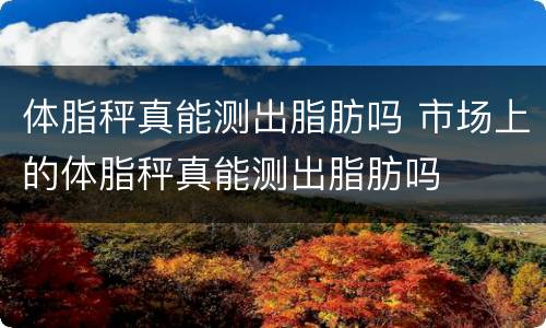 体脂秤真能测出脂肪吗 市场上的体脂秤真能测出脂肪吗