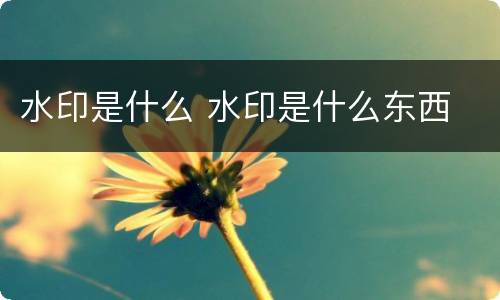 水印是什么 水印是什么东西