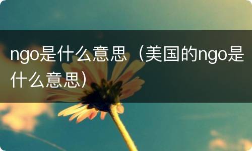 ngo是什么意思（美国的ngo是什么意思）