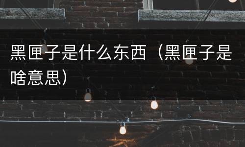 黑匣子是什么东西（黑匣子是啥意思）