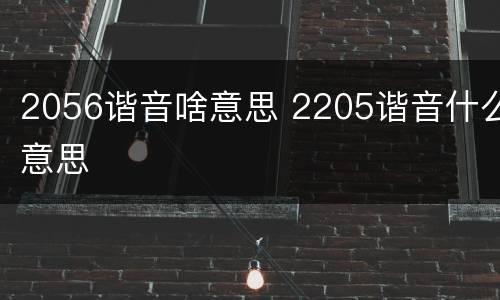 2056谐音啥意思 2205谐音什么意思