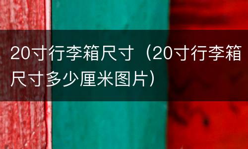 20寸行李箱尺寸（20寸行李箱尺寸多少厘米图片）
