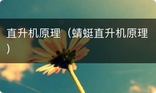 直升机原理（蜻蜓直升机原理）