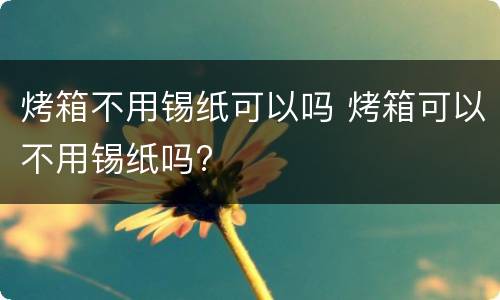 烤箱不用锡纸可以吗 烤箱可以不用锡纸吗?