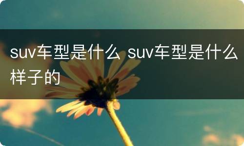 suv车型是什么 suv车型是什么样子的