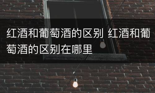 红酒和葡萄酒的区别 红酒和葡萄酒的区别在哪里