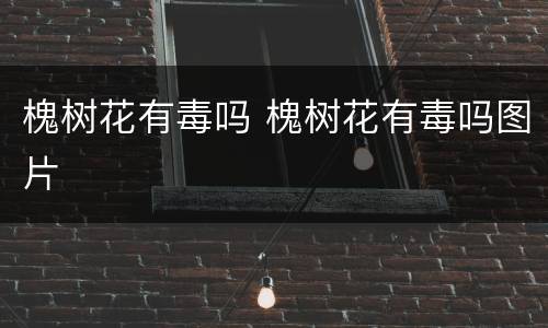 槐树花有毒吗 槐树花有毒吗图片