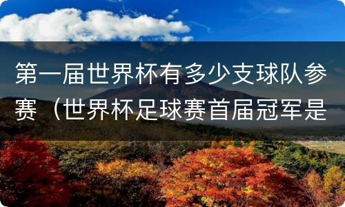 第一届世界杯有多少支球队参赛（世界杯足球赛首届冠军是哪个队）