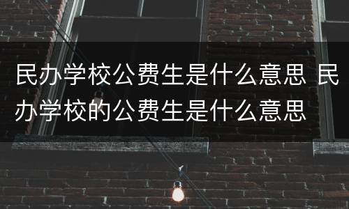 民办学校公费生是什么意思 民办学校的公费生是什么意思