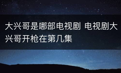 大兴哥是哪部电视剧 电视剧大兴哥开枪在第几集