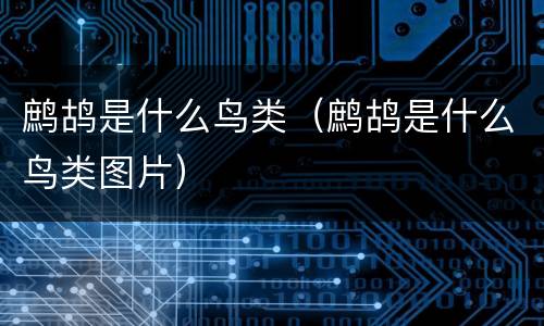鹧鸪是什么鸟类（鹧鸪是什么鸟类图片）